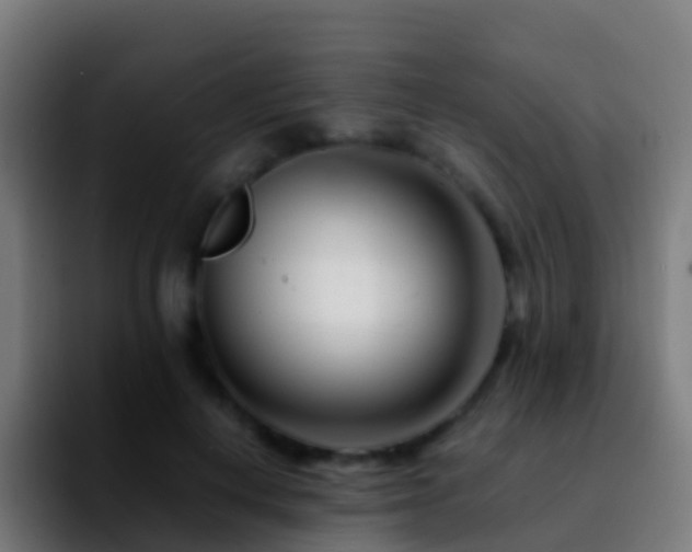 X0000092270648200709211138