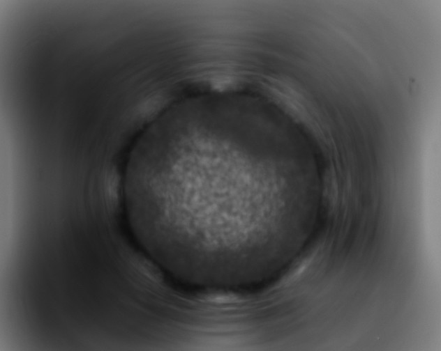 X0000092270650200709211138