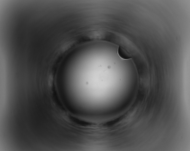 X0000092270652200709211138