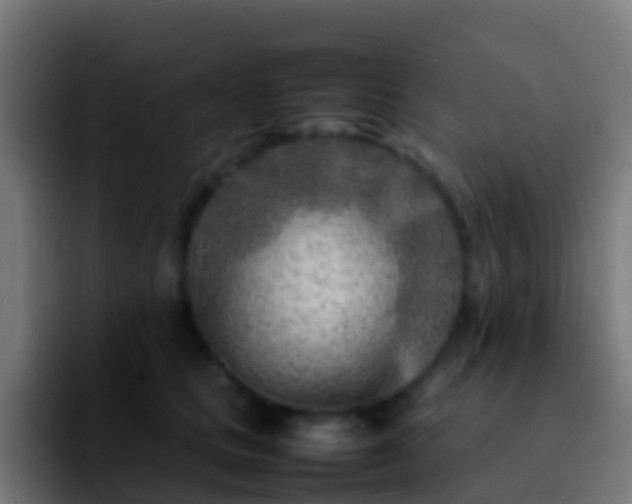 X0000092270661200709211138