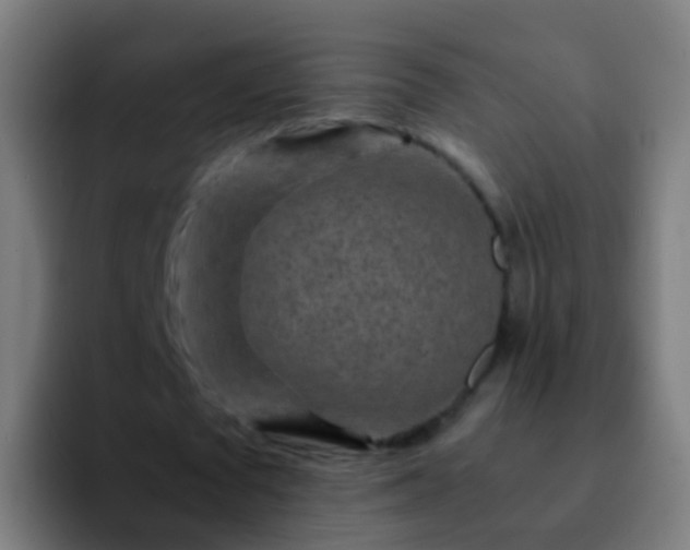 X0000092270673200709211137