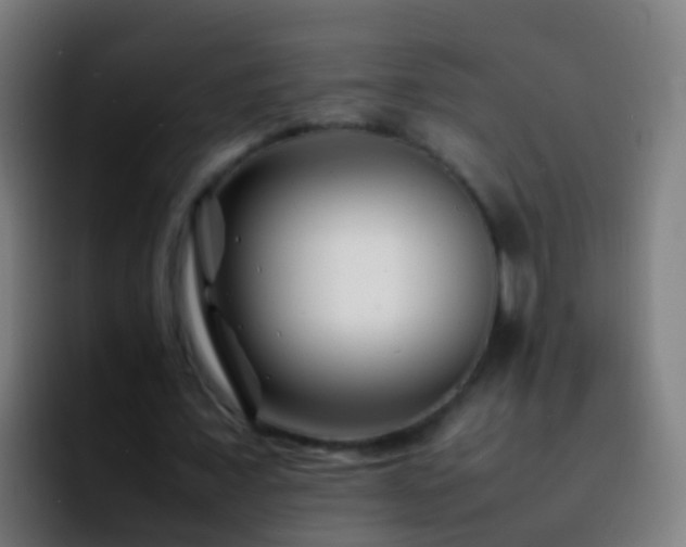 X0000092270675200709211137