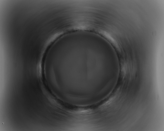 X0000092270678200709211137