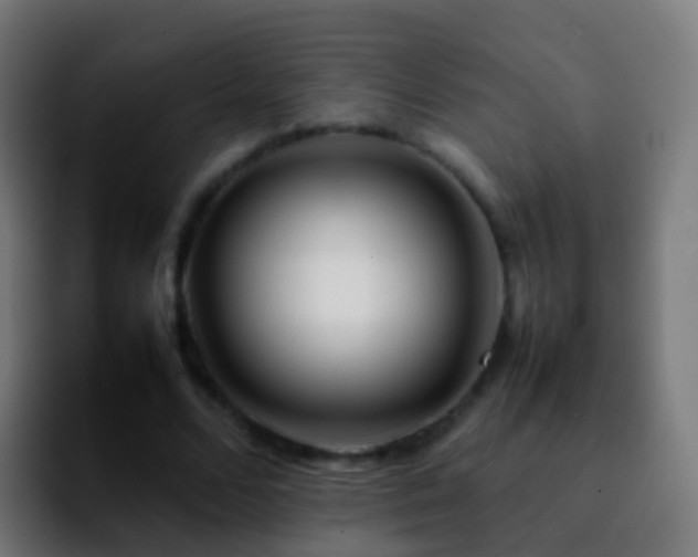 X0000092270680200709211137