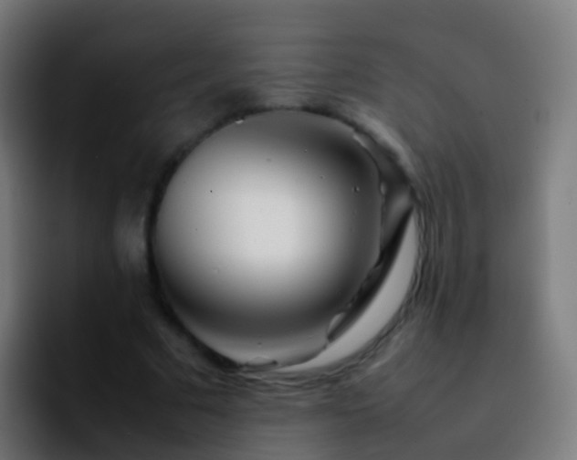 X0000092270681200709211137
