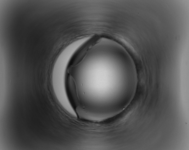 X0000092270685200709211137