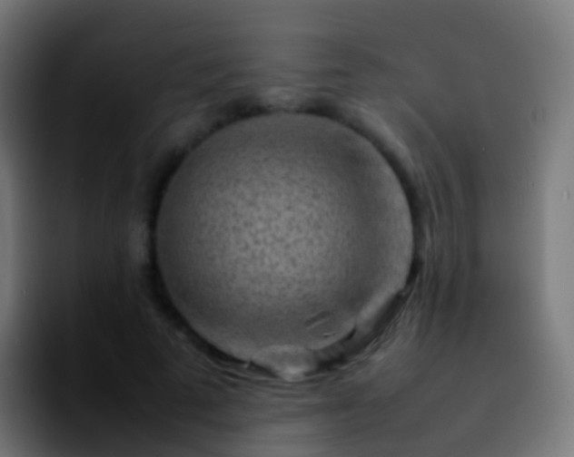 X0000092270689200709211137