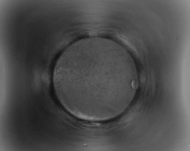 X0000092270691200709211137
