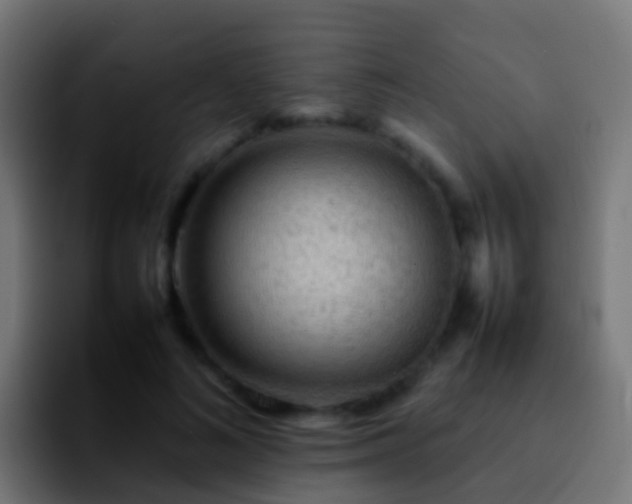 X0000092270692200709211137