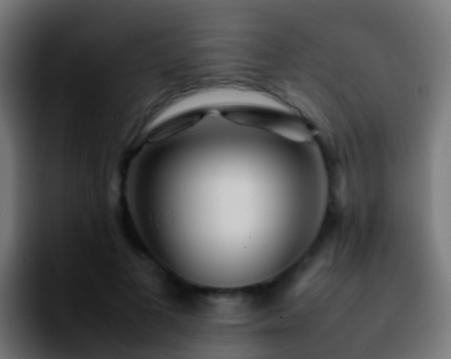 X0000092270693200709211137