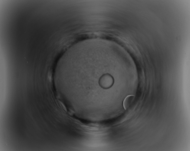 X0000092270699200709211137