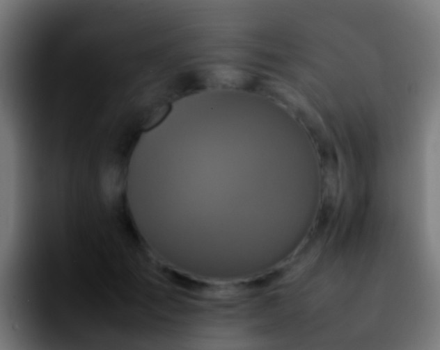 X0000092270701200709211137
