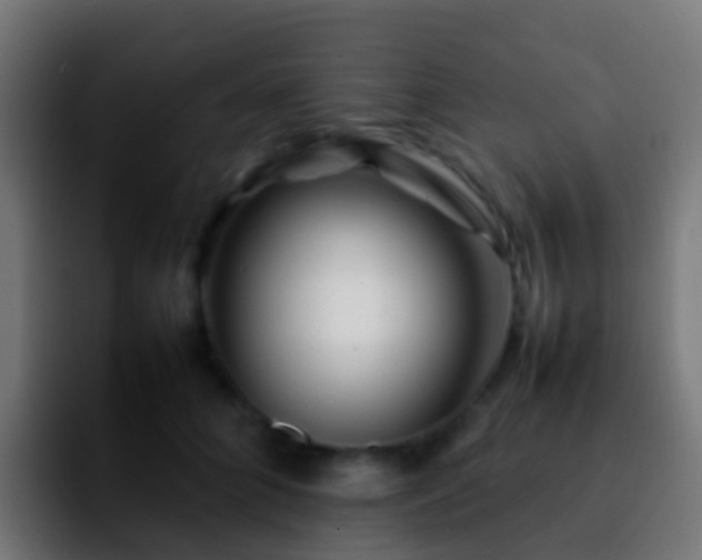 X0000092270704200709211137