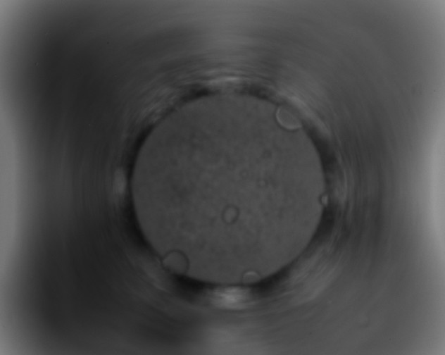 X0000092270711200709211137
