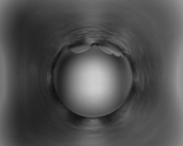 X0000092270715200709211137