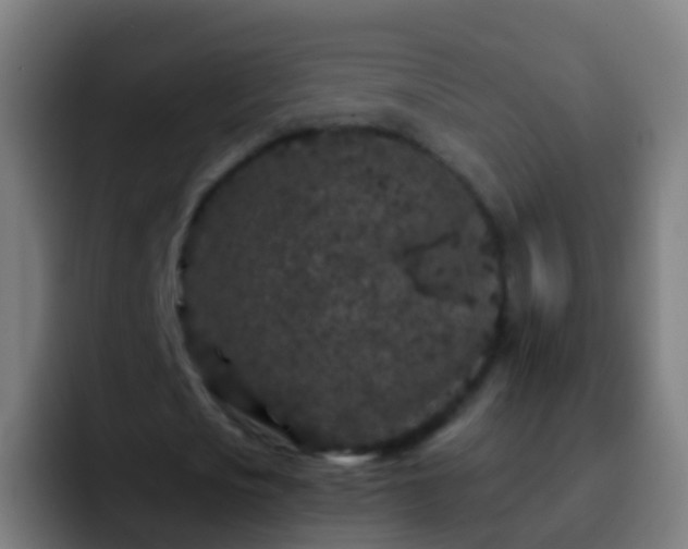 X0000092270721200709211136