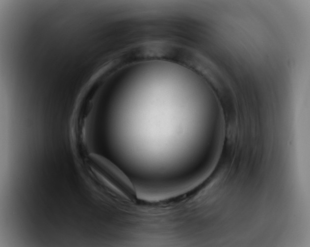 X0000092270722200709211136