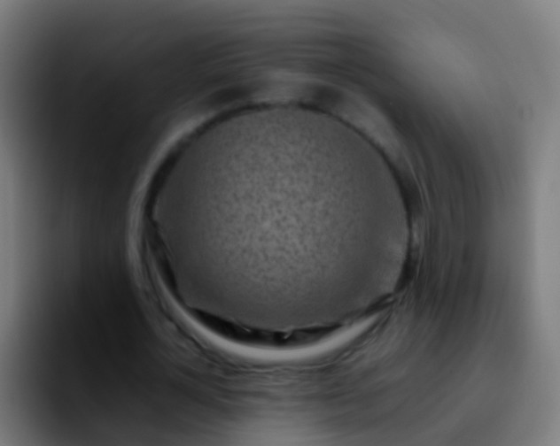 X0000092270724200709211136