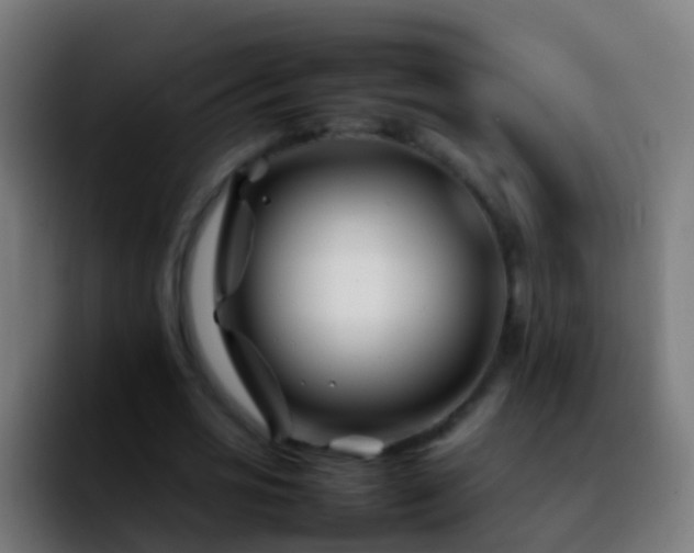 X0000092270725200709211136