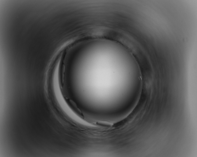 X0000092270728200709211136