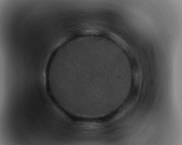 X0000092270729200709211136