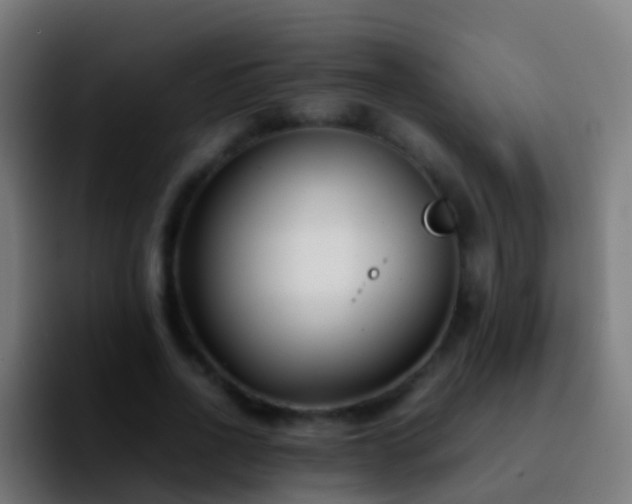 X0000092270734200709211136