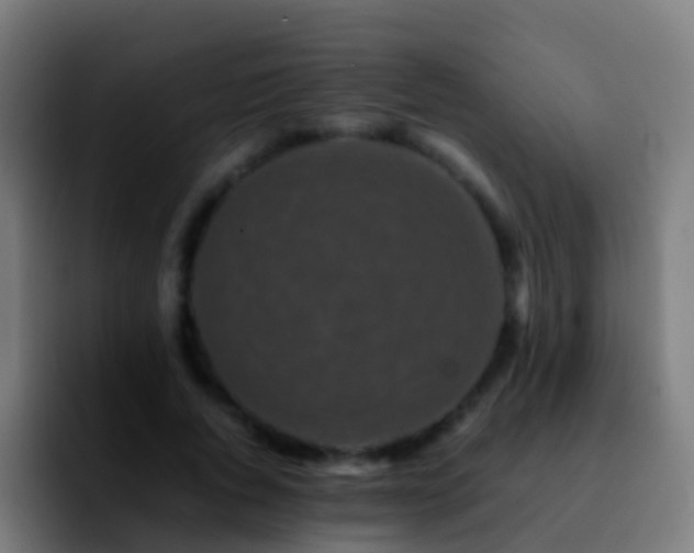 X0000092270736200709211137
