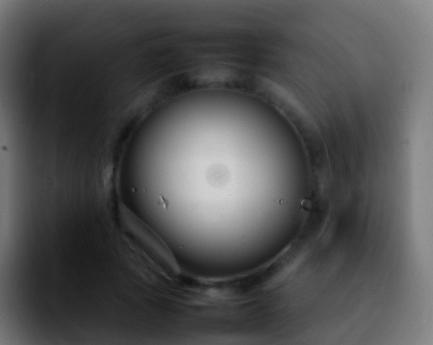 X0000092270737200709211137