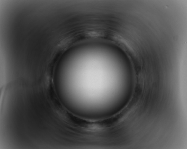 X0000092270741200709211137