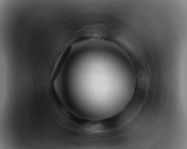 X0000092270747200709211137