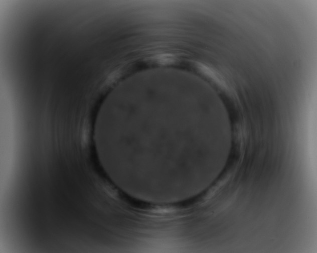 X0000092270760200709211137