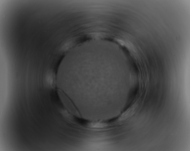 X0000092270766200709211137