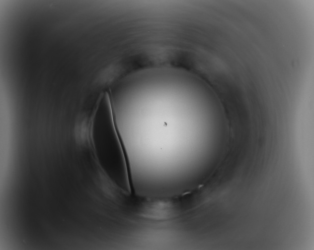 X0000092270768200709211137