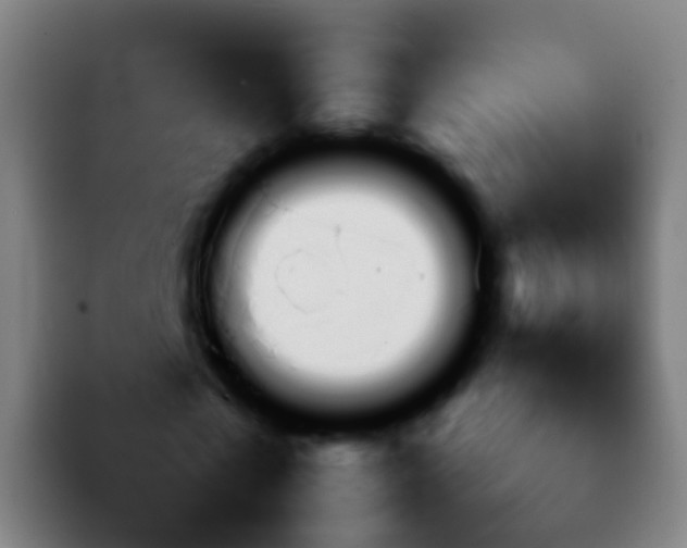 X0000092270769200709211136
