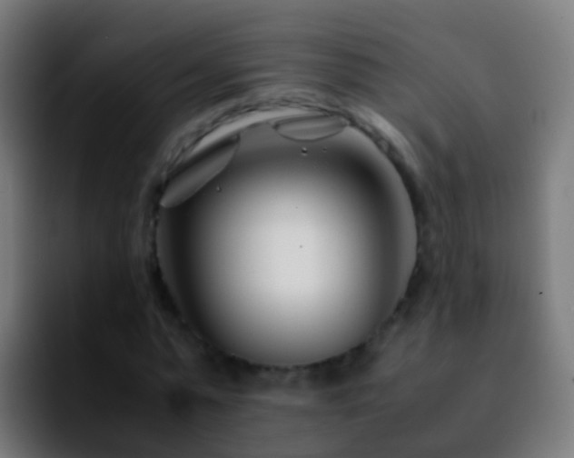 X0000092270775200709211136