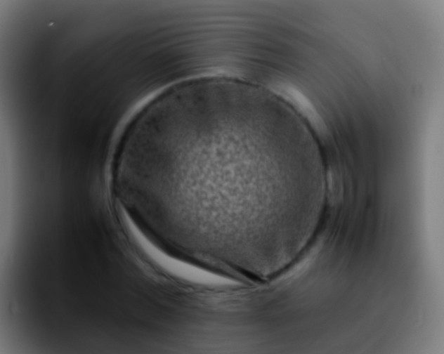 X0000092270780200709211136