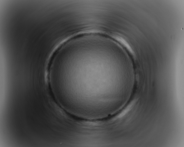 X0000092270781200709211136