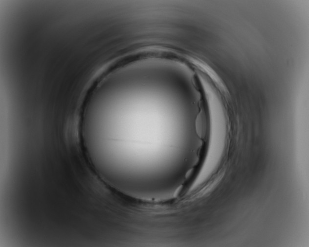 X0000092270783200709211136
