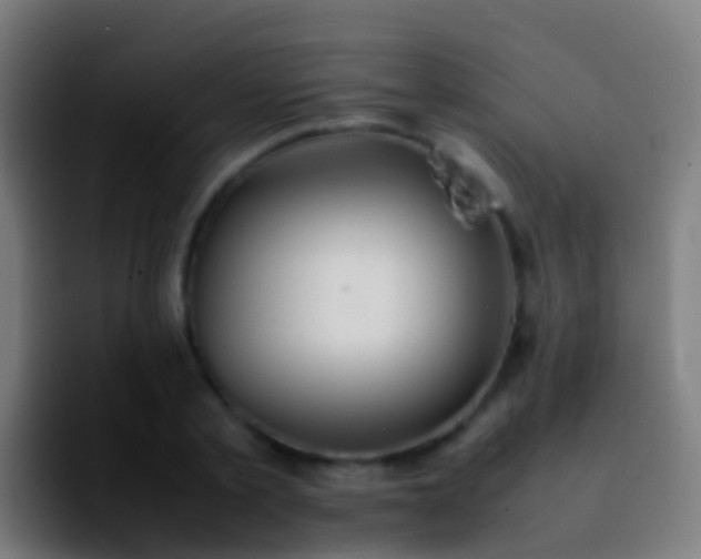X0000092270789200709211136