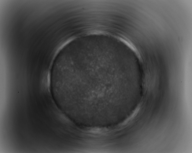 X0000092270790200709211136