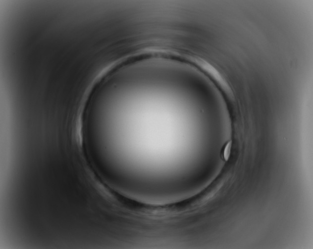 X0000092270791200709211136
