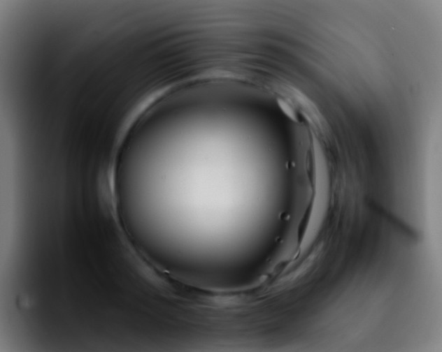 X0000092270796200709211136