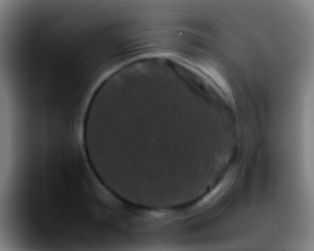 X0000092270797200709211136