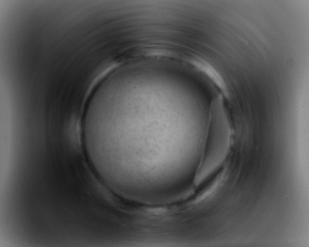 X0000092270798200709211136