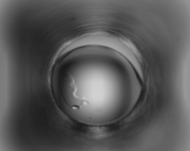 X0000092270805200709211136