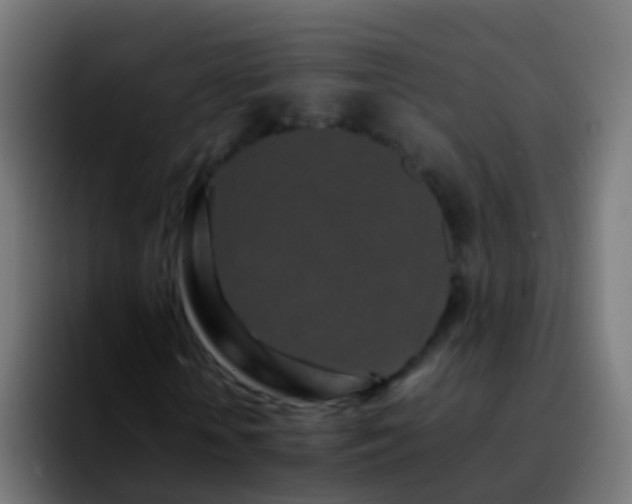 X0000092270818200709211135