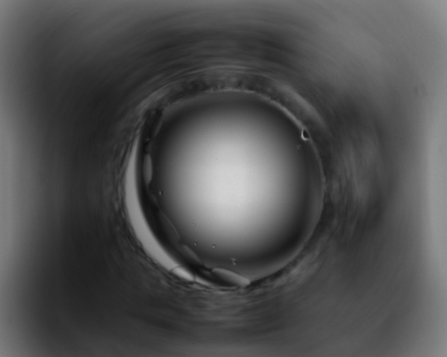 X0000092270821200709211135