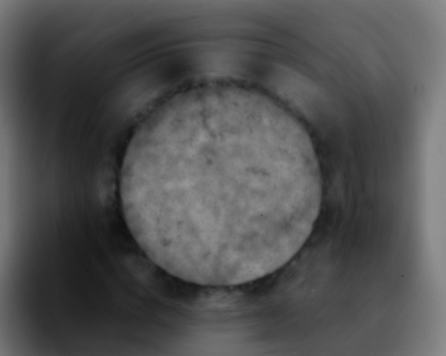 X0000092270824200709211135