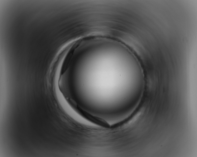 X0000092270830200709211135