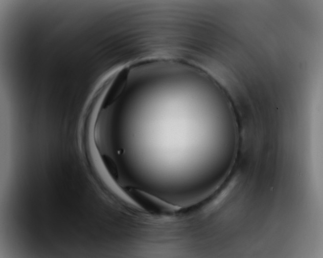 X0000092270838200709211135